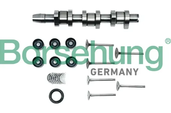 Reparatursatz, Zwischenwelle Borsehung B17130 Bild Reparatursatz, Zwischenwelle Borsehung B17130