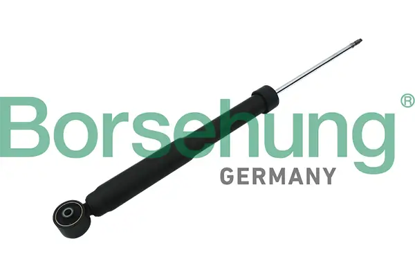 Stoßdämpfer Hinterachse Borsehung B17895