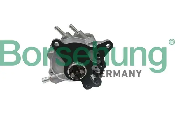 Unterdruckpumpe, Bremsanlage Borsehung B17906