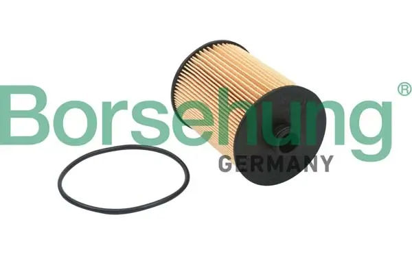 Ölfilter Borsehung B18015
