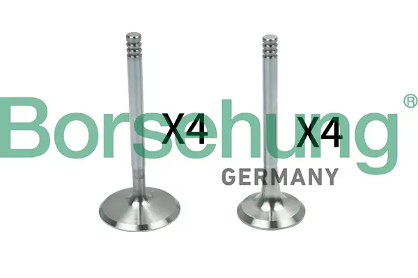 Ventilsatz, Einlass-/Auslassventil Borsehung B18148