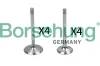 Ventilsatz, Einlass-/Auslassventil Borsehung B18148