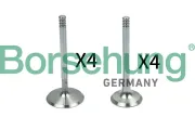Ventilsatz, Einlass-/Auslassventil Borsehung B18148