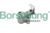 Spanner, Steuerkette Borsehung B18202