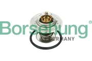 Thermostat, Kühlmittel Borsehung B18268