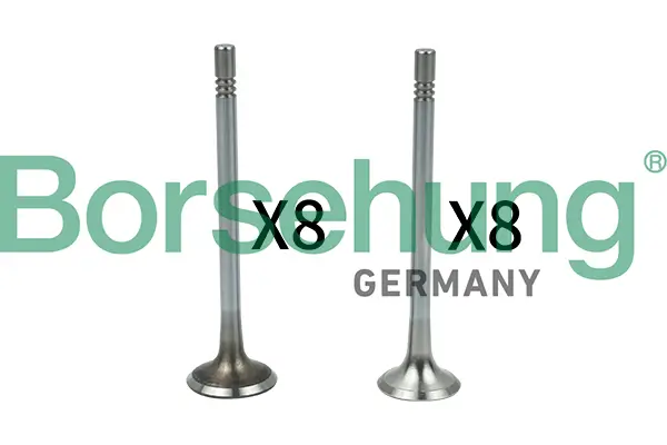 Ventilsatz, Einlass-/Auslassventil Borsehung B18628