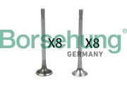 Ventilsatz, Einlass-/Auslassventil Borsehung B18628