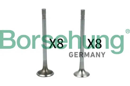 Ventilsatz, Einlass-/Auslassventil Borsehung B18628 Bild Ventilsatz, Einlass-/Auslassventil Borsehung B18628