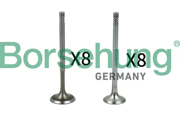 Ventilsatz, Einlass-/Auslassventil Borsehung B18630