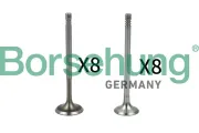 Ventilsatz, Einlass-/Auslassventil Borsehung B18630