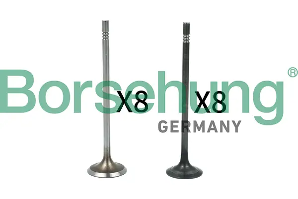 Ventilsatz, Einlass-/Auslassventil Borsehung B18631