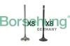 Ventilsatz, Einlass-/Auslassventil Borsehung B18631