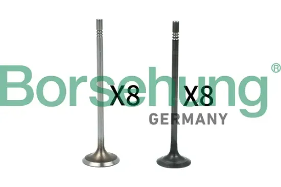 Ventilsatz, Einlass-/Auslassventil Borsehung B18631 Bild Ventilsatz, Einlass-/Auslassventil Borsehung B18631