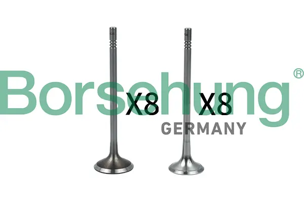 Ventilsatz, Einlass-/Auslassventil Borsehung B18633