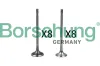 Ventilsatz, Einlass-/Auslassventil Borsehung B18633