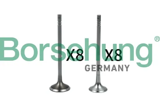 Ventilsatz, Einlass-/Auslassventil Borsehung B18633 Bild Ventilsatz, Einlass-/Auslassventil Borsehung B18633