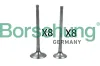 Einlassventil Borsehung B18634