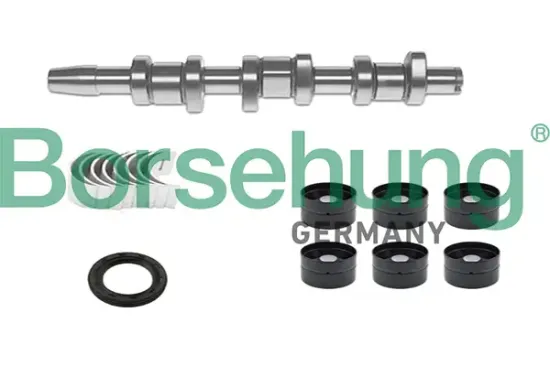 Nockenwellensatz Borsehung B18665 Bild Nockenwellensatz Borsehung B18665