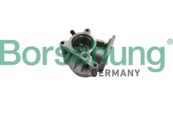 Unterdruckpumpe, Bremsanlage Borsehung B18666 Bild Unterdruckpumpe, Bremsanlage Borsehung B18666