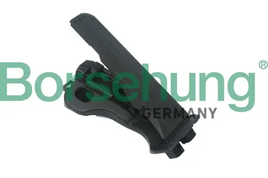 Fahrpedalsatz Borsehung B18725 Bild Fahrpedalsatz Borsehung B18725