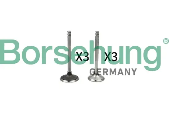 Ventilsatz, Einlass-/Auslassventil Borsehung B18765 Bild Ventilsatz, Einlass-/Auslassventil Borsehung B18765