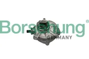 Unterdruckpumpe, Bremsanlage Borsehung B18772
