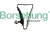 Steuerkettensatz Borsehung B18778