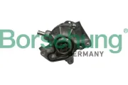 Unterdruckpumpe, Bremsanlage Borsehung B18801