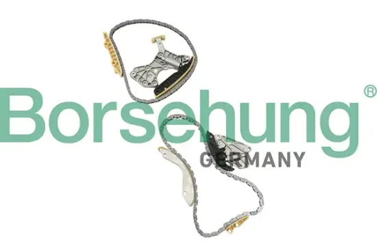 Steuerkettensatz Borsehung B18845 Bild Steuerkettensatz Borsehung B18845