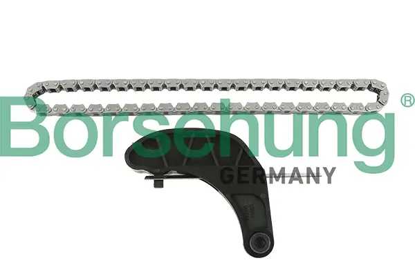 Steuerkettensatz Borsehung B18851