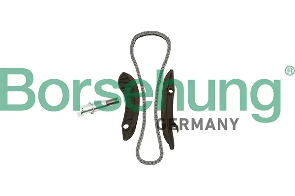 Steuerkettensatz Borsehung B18852