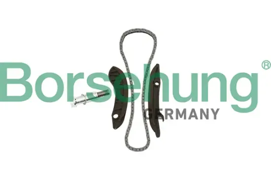 Steuerkettensatz Borsehung B18852 Bild Steuerkettensatz Borsehung B18852