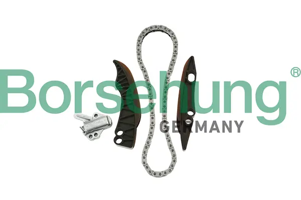 Steuerkettensatz Borsehung B18853