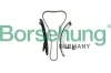 Steuerkettensatz Borsehung B18856
