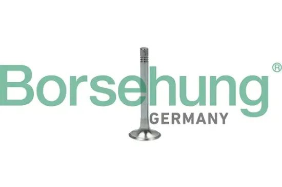 Auslassventil Borsehung B18999 Bild Auslassventil Borsehung B18999