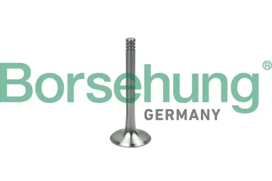 Auslassventil Borsehung B19000 Bild Auslassventil Borsehung B19000