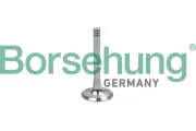 Auslassventil Borsehung B19002