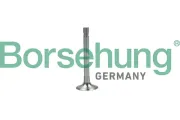 Auslassventil Borsehung B19003