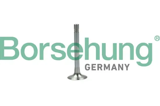 Auslassventil Borsehung B19003 Bild Auslassventil Borsehung B19003