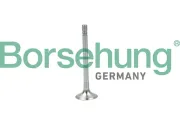 Auslassventil Borsehung B19004