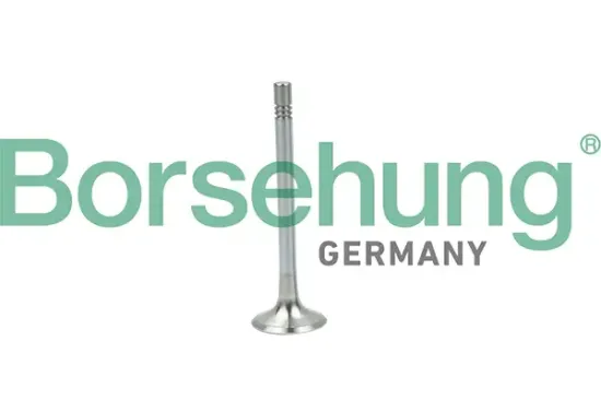 Auslassventil Borsehung B19004 Bild Auslassventil Borsehung B19004