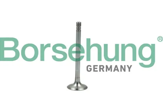 Auslassventil Borsehung B19005 Bild Auslassventil Borsehung B19005