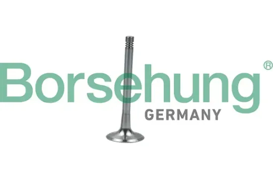 Auslassventil Borsehung B19008 Bild Auslassventil Borsehung B19008