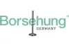 Auslassventil Borsehung B19009