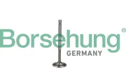 Auslassventil Borsehung B19009