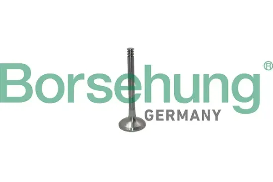 Auslassventil Borsehung B19012 Bild Auslassventil Borsehung B19012