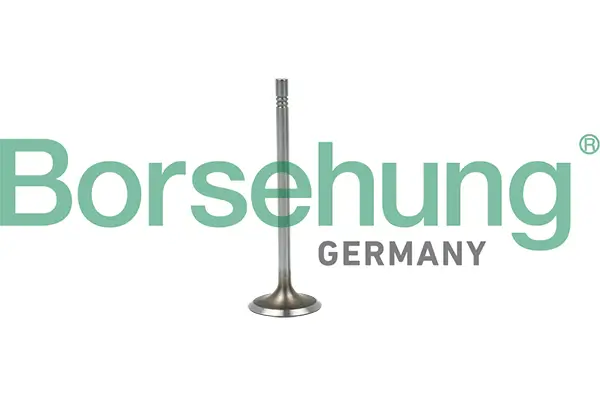 Einlassventil Borsehung B19015