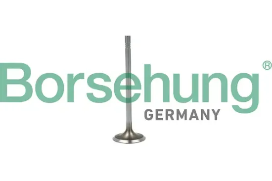 Einlassventil Borsehung B19015 Bild Einlassventil Borsehung B19015