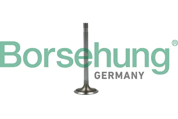 Einlassventil Borsehung B19022
