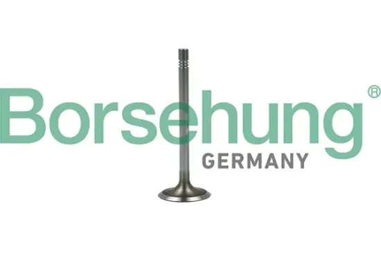 Einlassventil Borsehung B19022 Bild Einlassventil Borsehung B19022